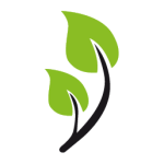 favicon-ecamed