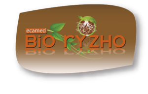 Bio Ryzho